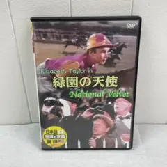 緑園の天使 DVD 洋画