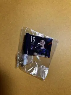 Vファーレン長崎　岡野洵選手　ミニフラッグ