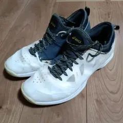 アシックス グライドノヴァFF 26.0