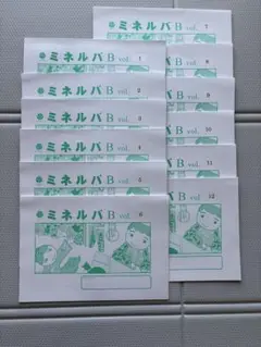 みかん様】ミネルバ B vol. 8-25セット チャイルドアイズ 知研