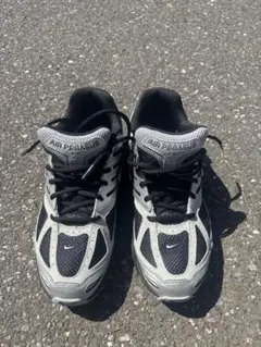 NIKE AIR ペガサス2005