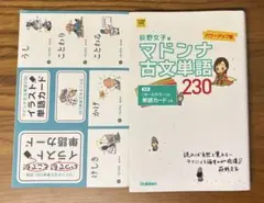 マドンナ古文単語230 パワーアップ版 別冊単語カードつき