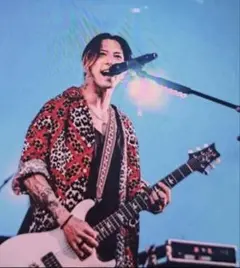 kj着cootie Leopard Open-Neck L/S Shirt
