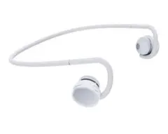 Item thumbnail for item 379872c7-da59-464e-aa2d-3b7083550e67