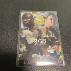 RIZIN ポテトスティック　ポスターコレクション