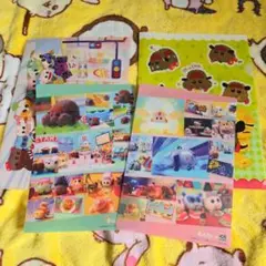 モルカー　クリアファイル&下敷きセット