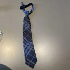 Item thumbnail for item 2e30669e-1f32-43d5-946b-b08a374441f1