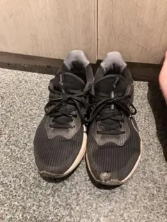 asics ランニングシューズ 27.0cm