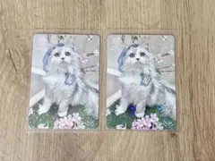 専用出品