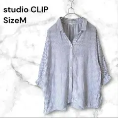 Item thumbnail for item 8a1792cd-8d59-4782-b605-31b8907524e6