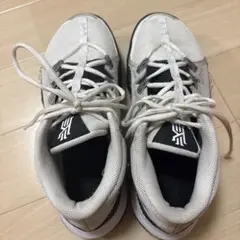 Item thumbnail for item 9426918a-f1e7-4c65-a7b6-ca485d757de5