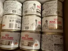 Item thumbnail for item 85e5957d-ccc9-49f2-ab2d-1c9617302ac6
