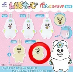 んぽちゃむ カプコレクション