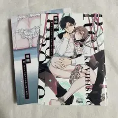 【初版・リーフレット】続:キーミスティックアンダーカバー アニメイト【匿名配送】