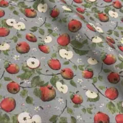 残り僅か‼️ ドイツ　生地　アクファクトゥム　りんごの収穫