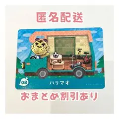 どうぶつの森 amiibo プラス カード 08 ハリマオ ②