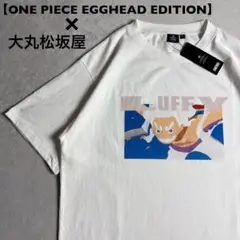 新品　ワンピースエッグヘッドエディション　大丸松坂屋 ギア5ニカルフィ tシャツ