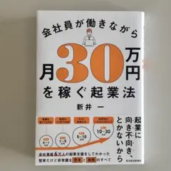 会社員が働きながら月30万円を稼ぐ起業法　新井一