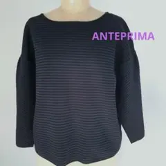 【美品】LL アンテプリマ ANTEPRIMA ニット カットソー