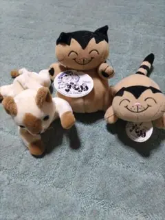 猫のぬいぐるみ3体セット