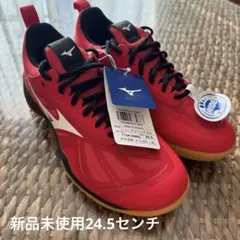 新品未使用　ミズノ　ウエーブファングゼロ　24.5センチ　バドミントンシューズ ミズノ（MIZUNO）バドミントンシューズ ウエーブファング WAVE