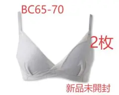 未開封TOLEETY 軽やかカストレスブラジャー グレー BC65-70 2枚