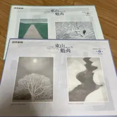 読売新聞社刊行　額絵シリーズ　四季の美　現代日本画傑作集 2025年最新】読売新聞 額絵シリーズの人気アイテム - メルカリ