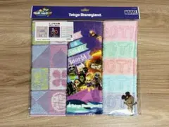 東京ディズニーランド グルート タオル3枚セット