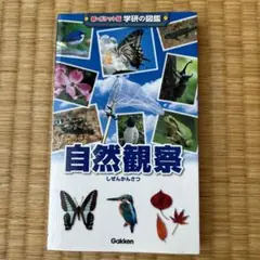 自然観察