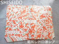 Item thumbnail for item e8005f05-a9ee-40f1-8d88-9584433224be