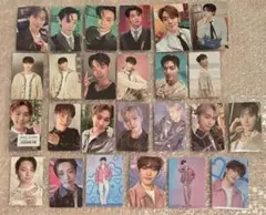 seventeen ディノ　トレカ　まとめ売り