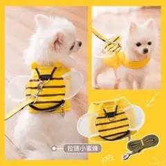 Item thumbnail for item cc2c3c52-5a9e-4212-90e1-1544891a200b