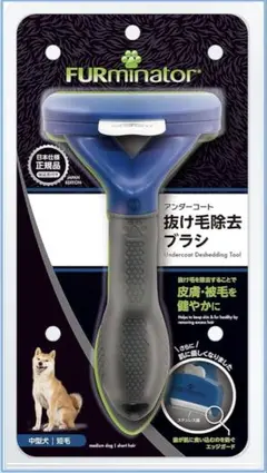 Item thumbnail for item 09b2bb44-1d4c-469a-a01c-9f964a915ad2