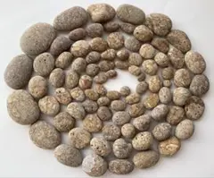 Item thumbnail for item 2122db65-c202-4331-bd60-64d7c7aabcf0