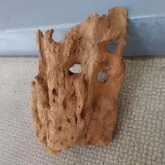 Item thumbnail for item 3e17e077-8e92-4c6f-9db7-ff53bd73877f