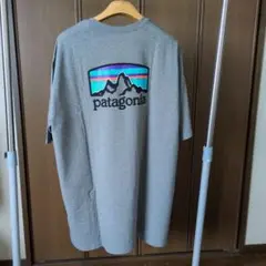 廃盤品 希少XXL 新品 パタゴニア フィッツロイレスポンシビリティー 灰