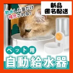 Item thumbnail for item 04e8dca3-930c-4109-807b-535511a6b4ce