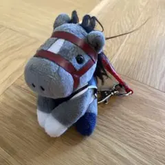 香港国際競馬場 記念キーホルダー