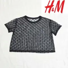 【H&M】ドット柄 シースルークロップドTシャツ ブラック