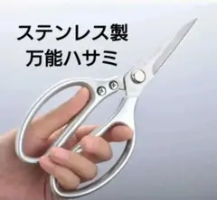 Item thumbnail for item 3cdf2902-6424-47c9-80ae-13dd162cf829