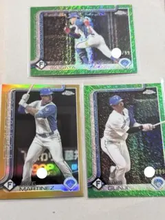 Item thumbnail for item 20f5f6a6-2ef3-4e8b-bf67-c605f7759a5c