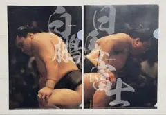 大相撲 白鵬 日馬富士 クリアファイル