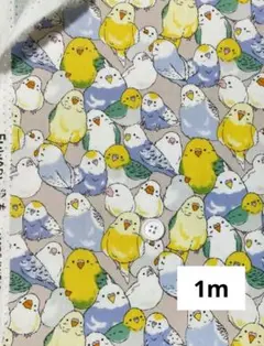 インコ＆文鳥　ベージュ　オックス生地　1m