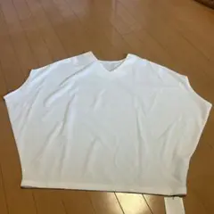 アンティカ 垢抜けドルマントップス