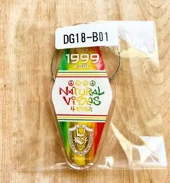 NATURAL VIBES モーテル風アクリルキーホルダー