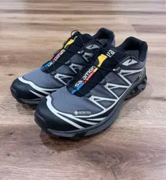 Salomon XT-6 GTX Gray 28