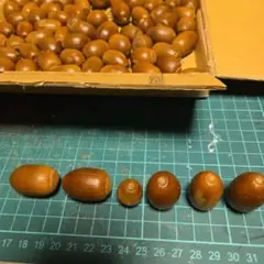 Item thumbnail for item 48169696-9591-4a82-b8b0-a0897048a40a