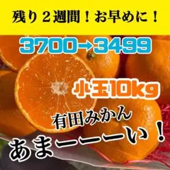 【あと8箱ぐらい】和歌山県産 有田みかん 小玉10キロ