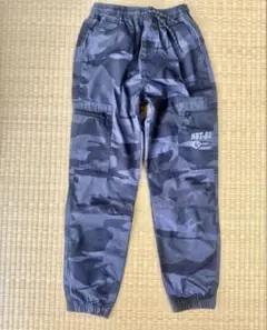 Item thumbnail for item 228a617e-da04-4391-8232-2ea583d53825