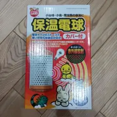 Item thumbnail for item 98cda95c-46c8-4a44-88f7-01603bddf5e2